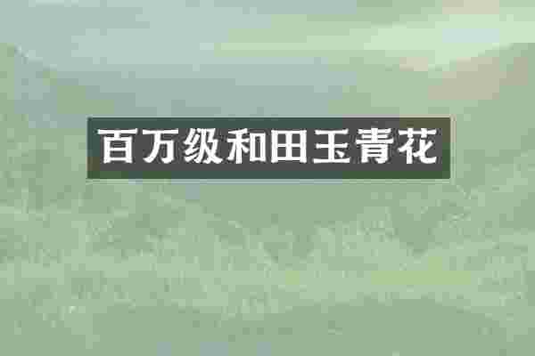 百万级和田玉青花