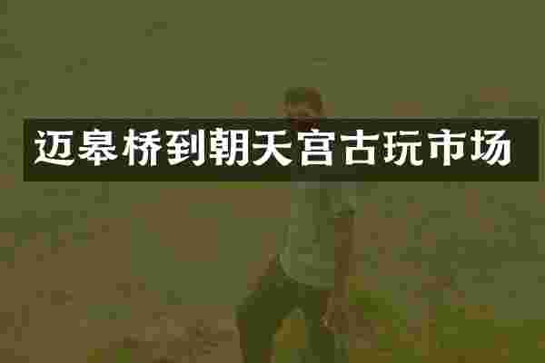 迈皋桥到朝天宫古玩市场