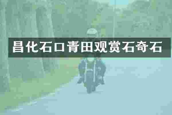 昌化石口青田观赏石奇石