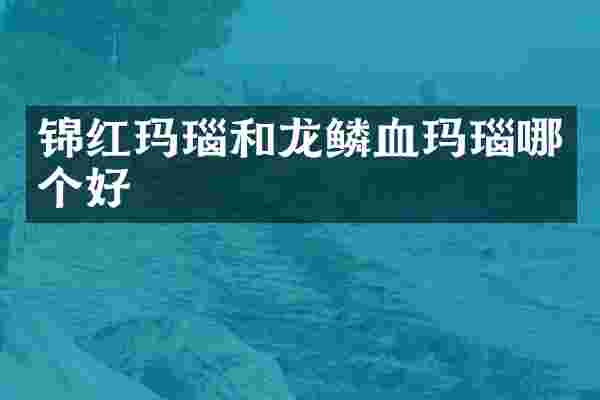 锦红玛瑙和龙鳞血玛瑙哪个好