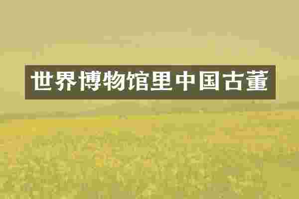 世界博物馆里中国古董