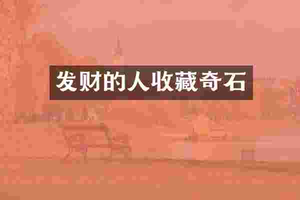 发财的人收藏奇石