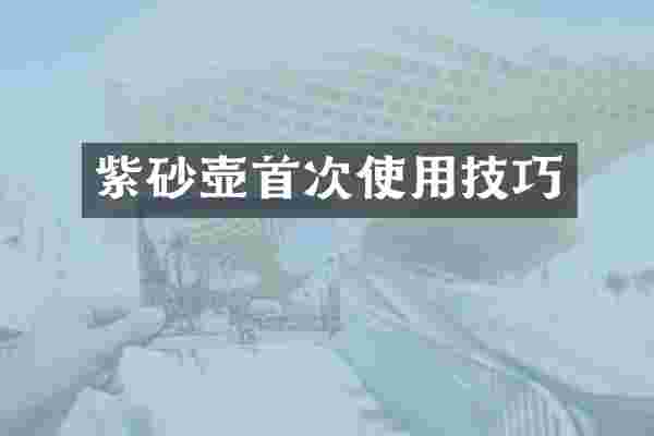紫砂壶首次使用技巧