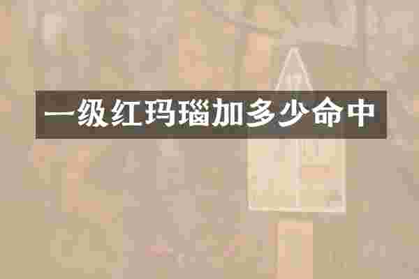 一级红玛瑙加多少命中