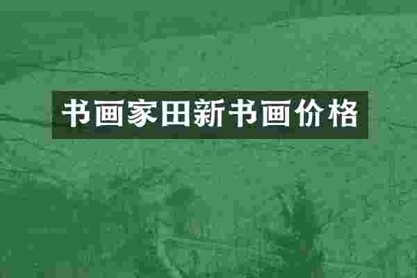 书画家田新书画价格