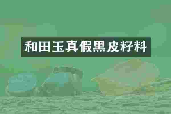 和田玉真假黑皮籽料