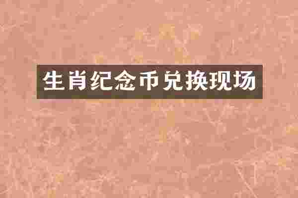 生肖纪念币兑换现场