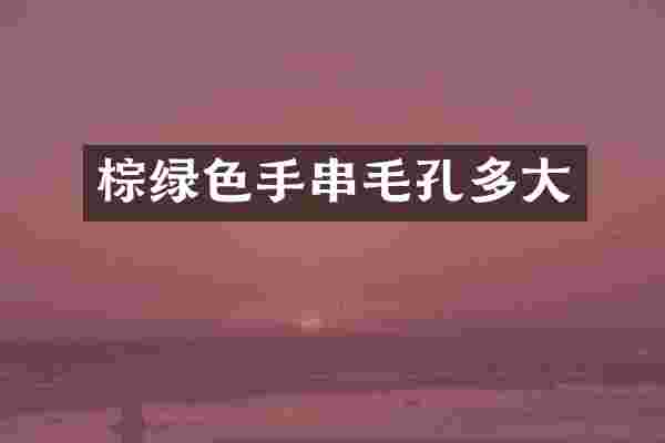 棕绿色手串毛孔多大