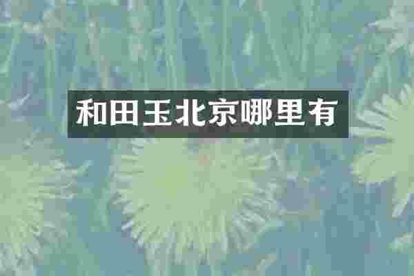 和田玉北京哪里有