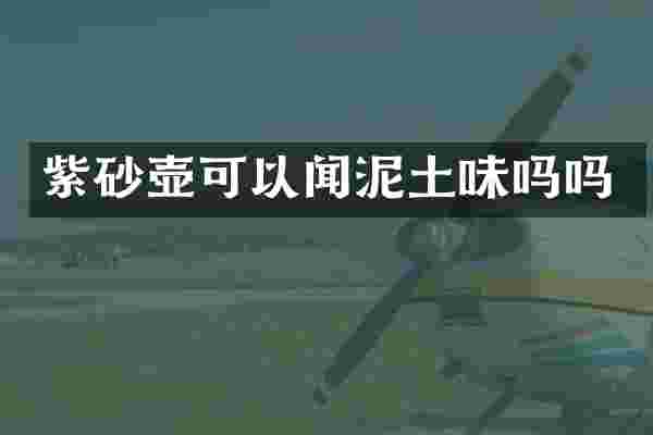 紫砂壶可以闻泥土味吗吗