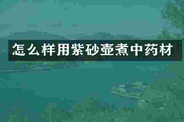 怎么样用紫砂壶煮中药材