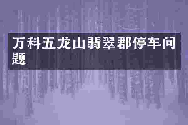 万科五龙山翡翠郡停车问题