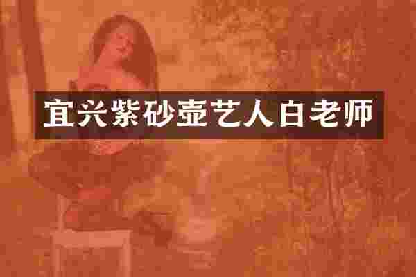 宜兴紫砂壶艺人白老师