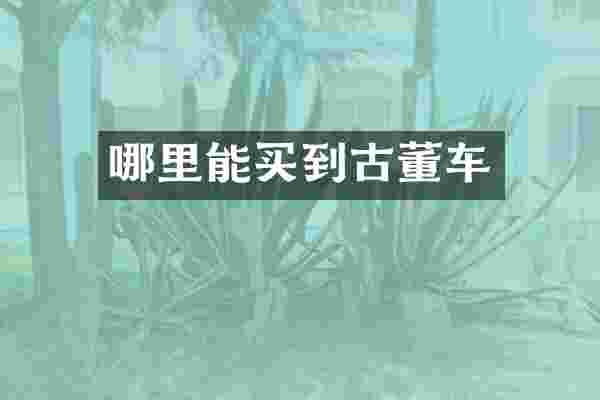 哪里能买到古董车