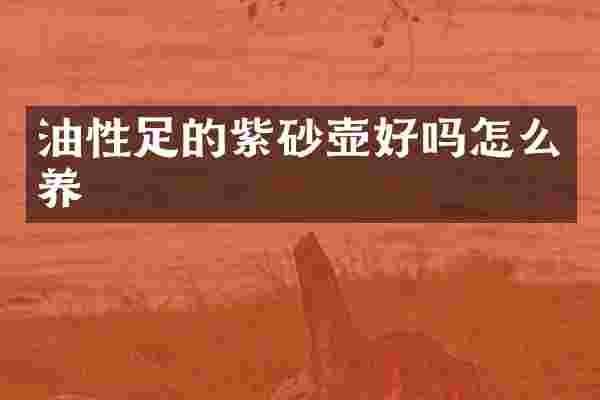 油性足的紫砂壶好吗怎么养