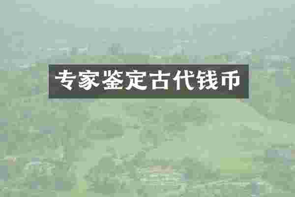 专家鉴定古代钱币