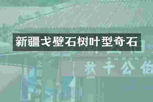 新疆戈壁石树叶型奇石