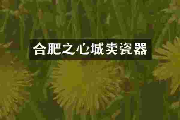 合肥之心城卖瓷器