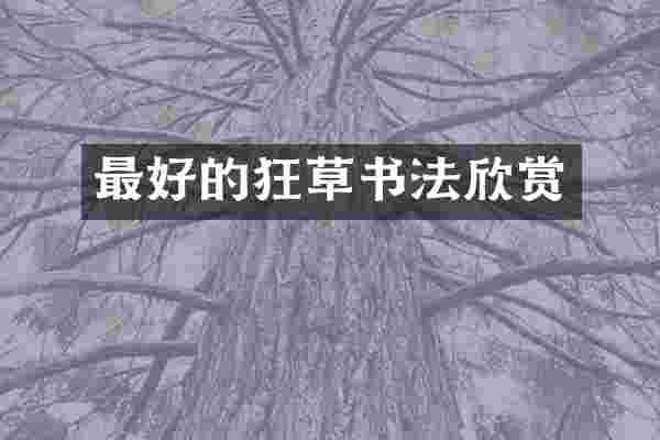 最好的狂草书法欣赏