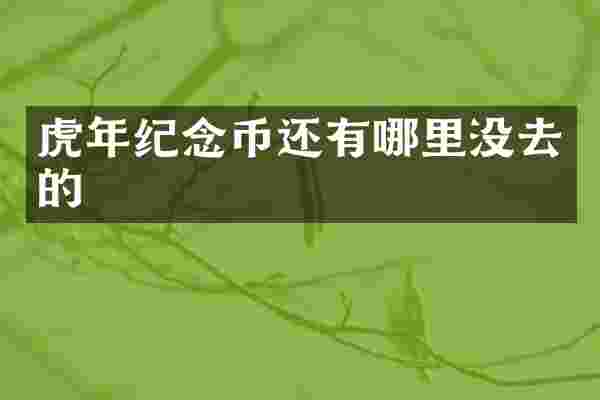 虎年纪念币还有哪里没去的