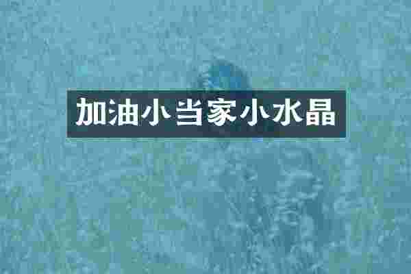 加油小当家小水晶