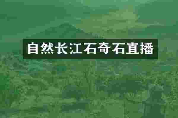 自然长江石奇石直播