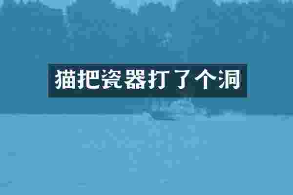 猫把瓷器打了个洞