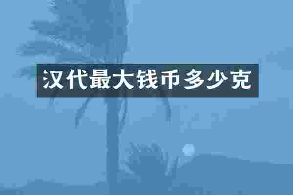 汉代最大钱币多少克