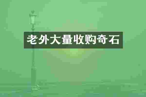 老外大量收购奇石