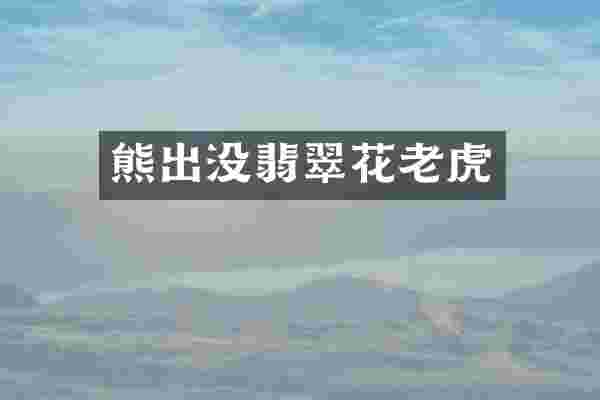 熊出没翡翠花老虎