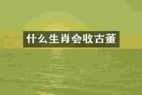 什么生肖会收古董