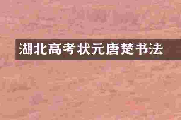 湖北高考状元唐楚玥书法