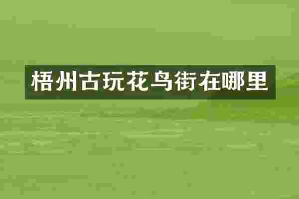 梧州古玩花鸟街在哪里