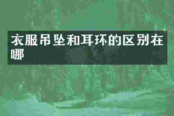 衣服吊坠和耳环的区别在哪