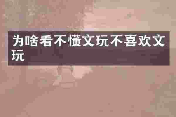 为啥看不懂文玩不喜欢文玩