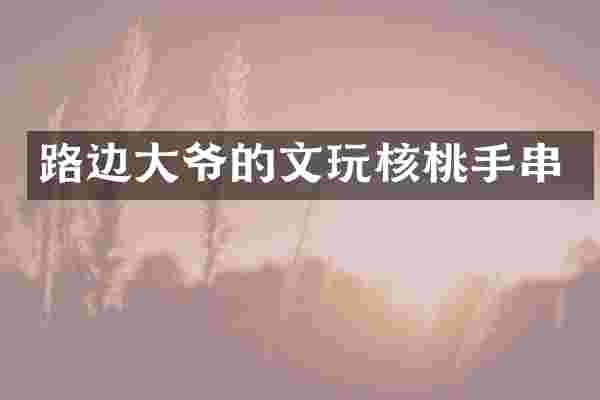 路边大爷的文玩核桃手串