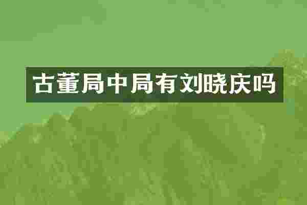 古董局中局有刘晓庆吗
