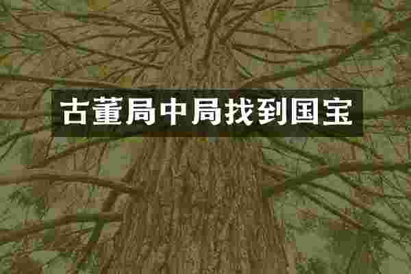 古董局中局找到国宝