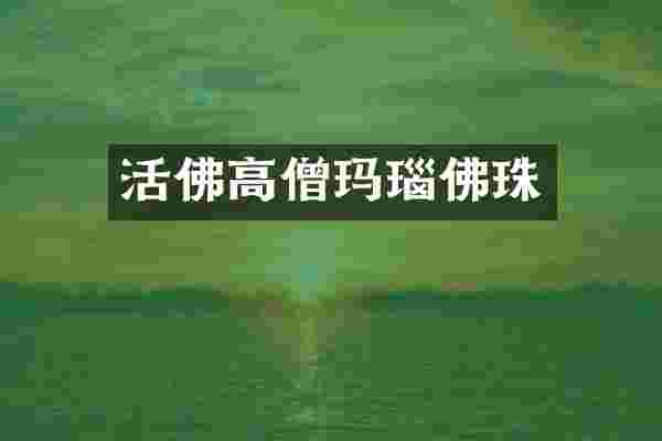 活佛高僧玛瑙佛珠