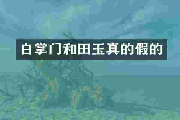 白掌门和田玉真的假的