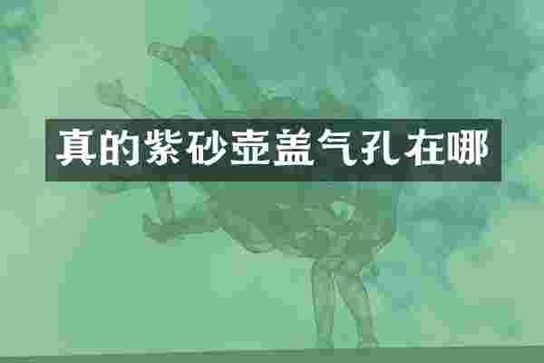 真的紫砂壶盖气孔在哪