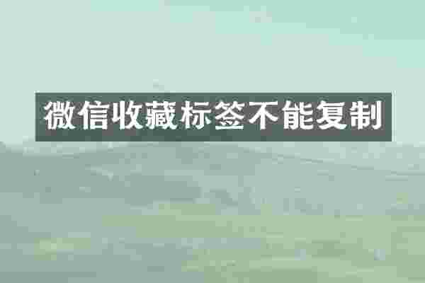 微信收藏标签不能复制