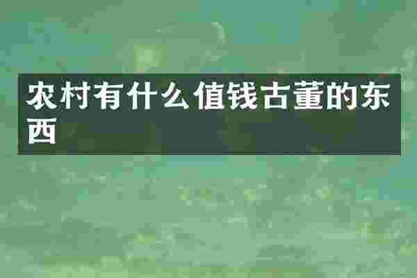 农村有什么值钱古董的东西