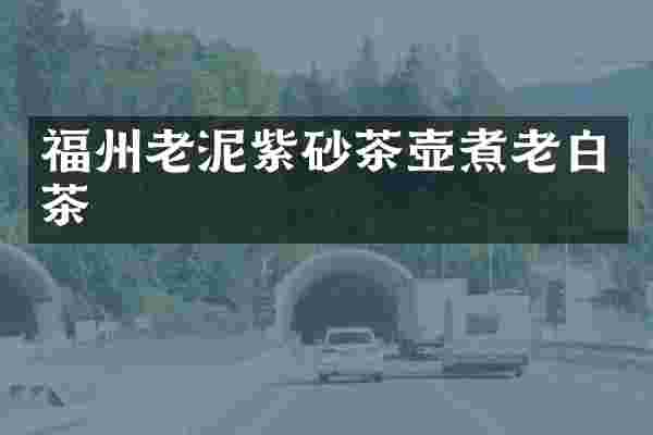 福州老泥紫砂茶壶煮老白茶