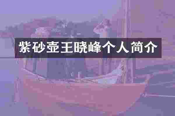 紫砂壶王晓峰个人简介