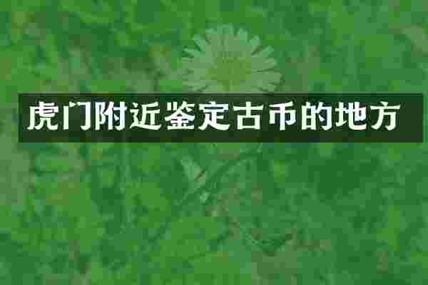 虎门附近鉴定古币的地方