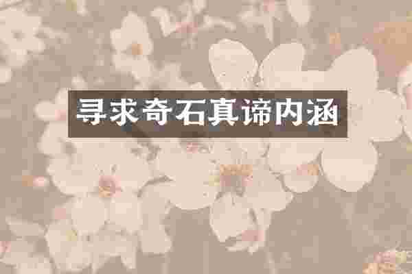 寻求奇石真谛内涵