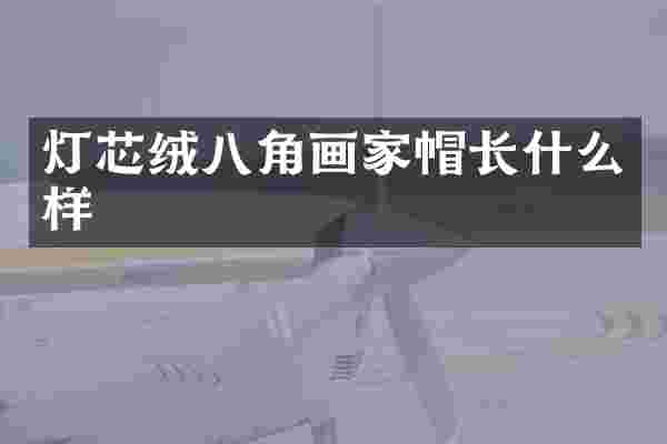 灯芯绒八角画家帽长什么样