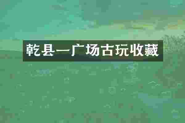 乾县一广场古玩收藏