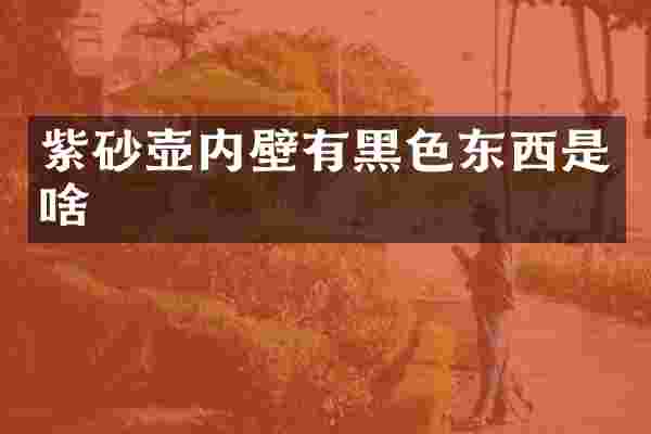 紫砂壶内壁有黑色东西是啥